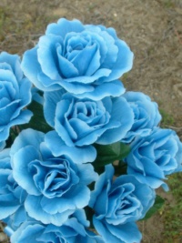 200px-Blue Roses1.jpg