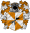 CLychester.png