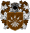 Hunter de Solar de Longarco.png