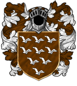 Shett de Vila Gaivota.png