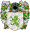 Osgrey de Firmeza.png