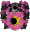 Pryor de Seixos.png