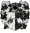 Swann de Pedrelmo.png