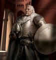 Barristan Selmy by Romain Leguay.jpg