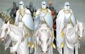 Kingsguard-by-Mike-S.-Miller.jpg