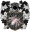 Webber de Fossofrio.png