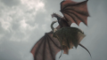 Sunfyre Meleys batalha.png