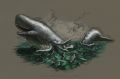Leviathan by KevinCatalan.jpg