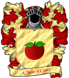 Fossoway do Solar de Cidea.png
