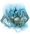 Aranhadegelogigante.jpg
