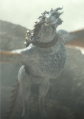 TV Seasmoke.png