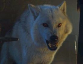 GhostNaHBO.jpg